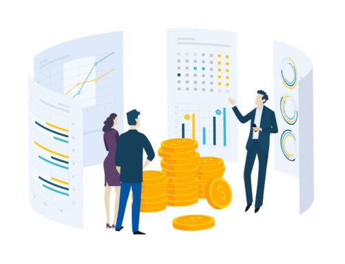 Maximizing Profitability through Pricing Optimization